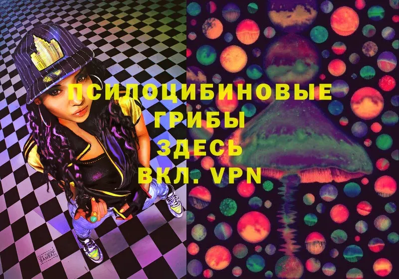 shop клад  Тара  Галлюциногенные грибы Magic Shrooms 